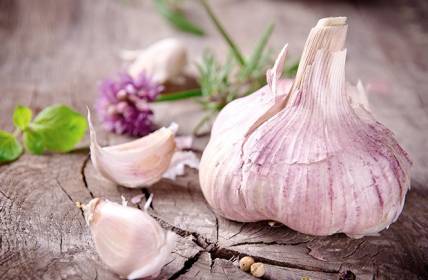 Garlic fights as painkiller for toothache