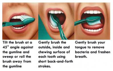 how to brush your teeth properly