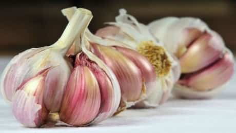 Garlic helps to pop your oral abscess