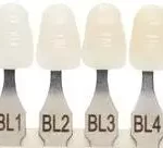 BL Teeth Shades in Details