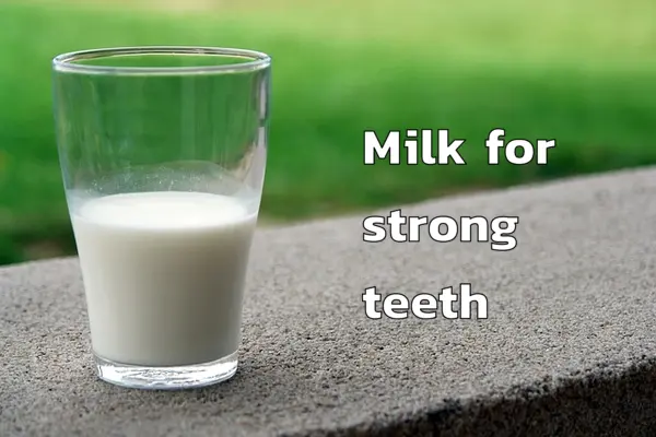 Milk Good for Teeth